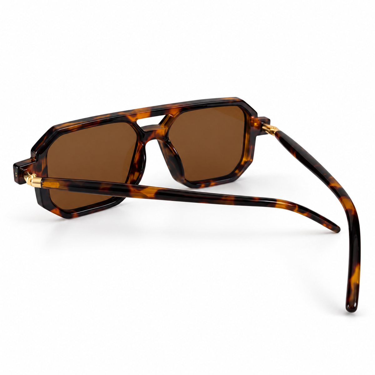 TERRA - Chocolate Tortoise